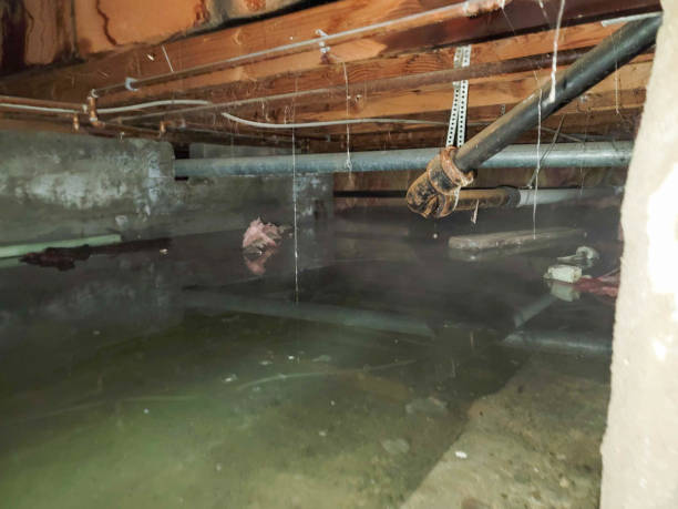 Trusted CT Water damage restoration Experts