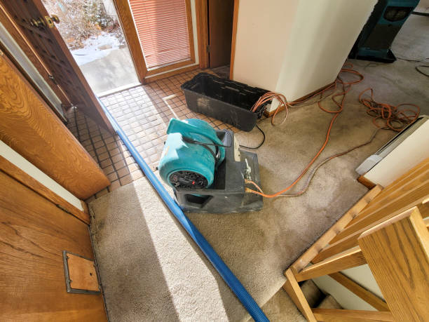 Best 24/7 water damage repair  in Thompsonville, CT
