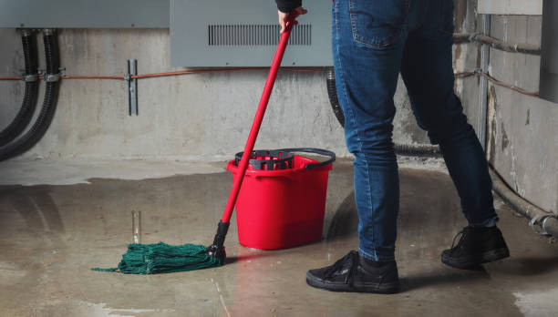 Best Water damage restoration process  in Thompsonville, CT