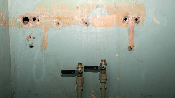 Best Residential water damage restoration  in Thompsonville, CT