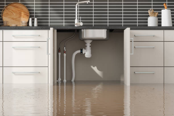 Best Fire Damage Restoration  in Thompsonville, CT