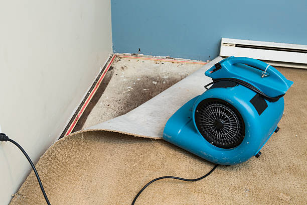 Best Water damage restoration near me  in Thompsonville, CT